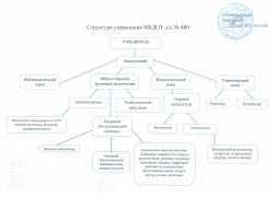 Схема органов управления ДОУ